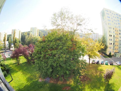 Balcony/Terrace, Garden view