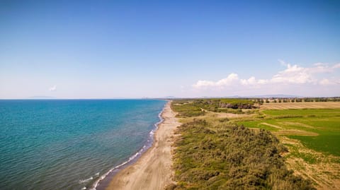 Podere Giovanni Olivo Farm Stay in Lazio