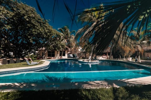 Hotel Paradise Suites Hôtel in Isla Mujeres