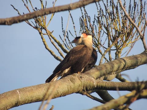 Pousada Sitio da Serra Inn in State of Rio de Janeiro