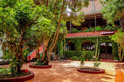 Patio, Day, Garden, Garden, Balcony/Terrace