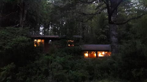 Property building, Night, Natural landscape