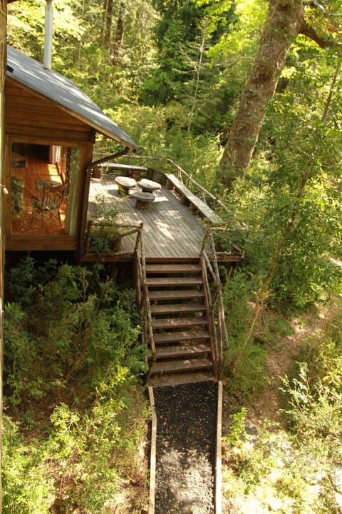 Balcony/Terrace, Garden view