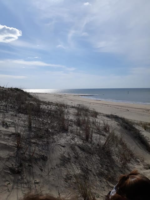 Natural landscape, Beach