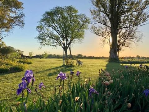 Natural landscape, Garden, Sunset