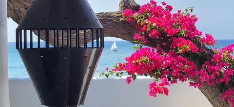 Loro Verde Villa in Isla de Lanzarote