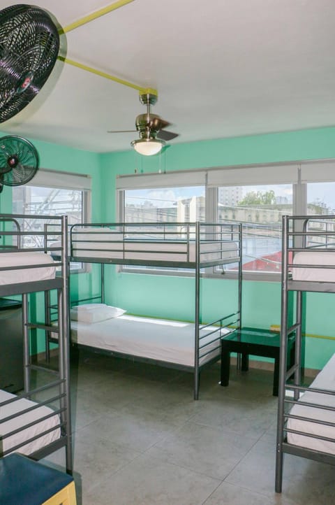 Bed, Photo of the whole room, bunk bed