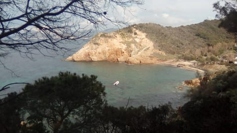 Natural landscape, Snorkeling, Beach, Canoeing, Hiking, Diving