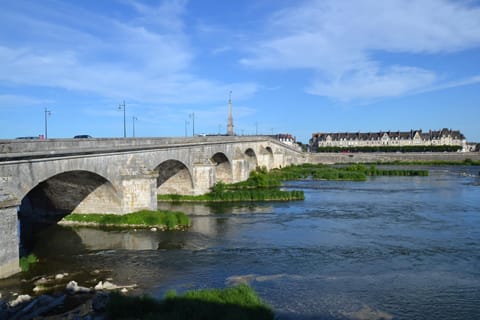Entre Loire et Chateau Condo in Blois