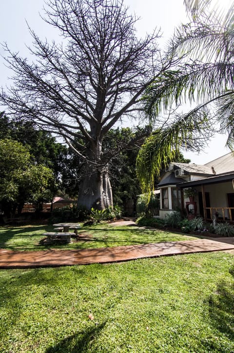 Dei Gratia Guest House Bed and Breakfast in Zimbabwe