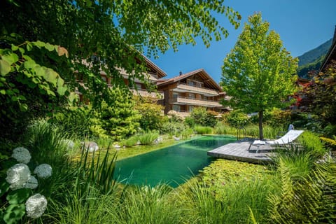 Garden, Swimming pool