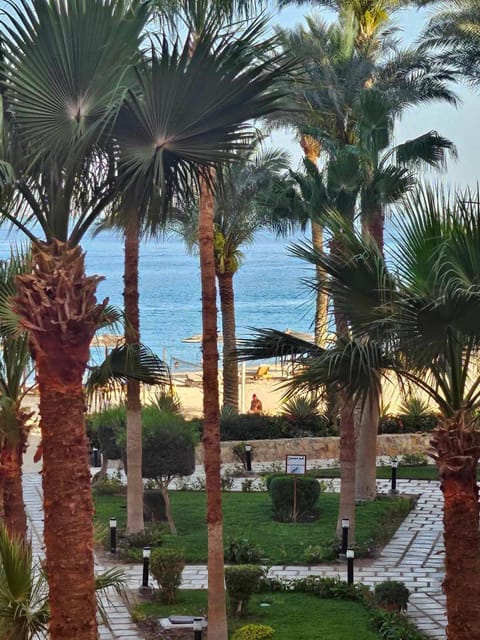 Esplanada Beach Apartment Condo in Hurghada