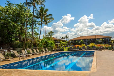 Garden, Swimming pool