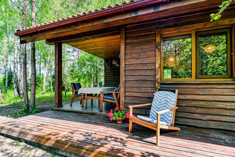 Beržų namelis - Birch cabin Nature lodge in Lithuania