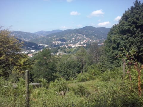 Natural landscape, View (from property/room)