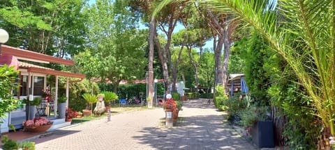 Camping Linus Campground/ 
RV Resort in Marina di Massa