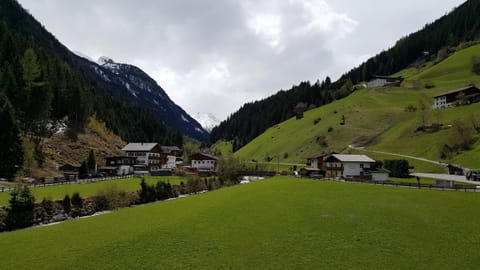 Property view
