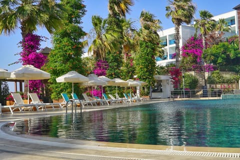 Pool view, Pool view, Swimming pool, Swimming pool, sunbed