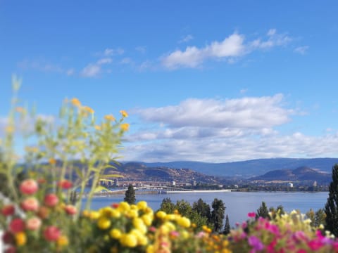 Lakeview Oasis Bed and Breakfast Bed and Breakfast in West Kelowna