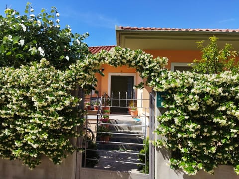 Facade/entrance, Balcony/Terrace