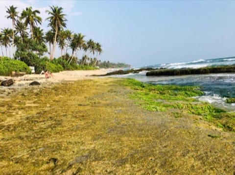 Sandaru Surffing Inn Bed and Breakfast in Southern Province