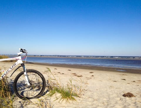 Off site, Natural landscape, Beach