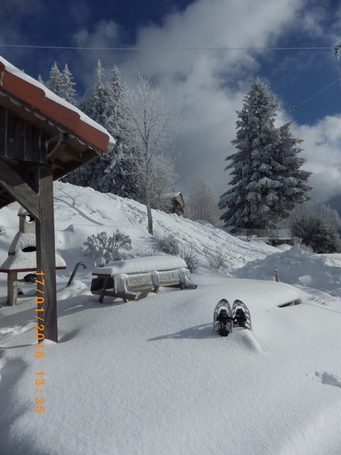 gites Les Bleuets House in Vosges