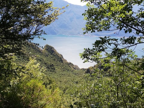 Garda Blu Apartment Apartment in Riva del Garda