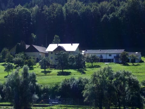 Bird's eye view, On site