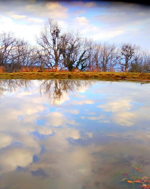 Natural landscape, Lake view