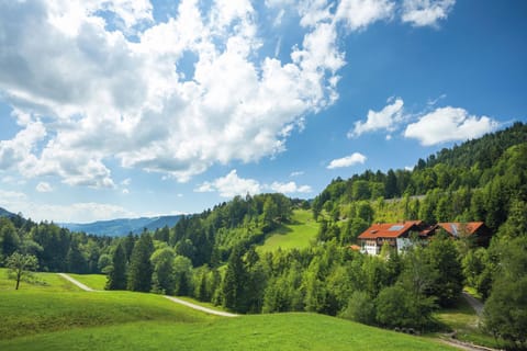 Property building, Day, Natural landscape, Summer, On site