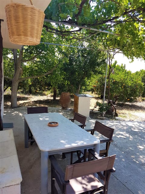 Summer, Garden, On site