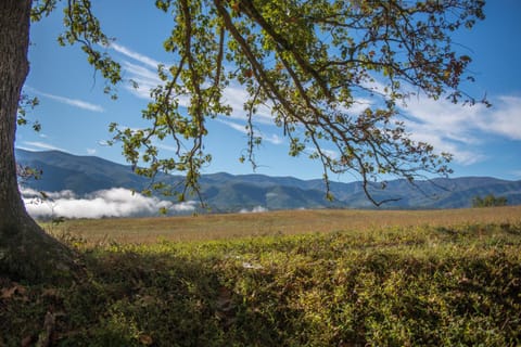 Million Dollar View Cabin House in Sevier County