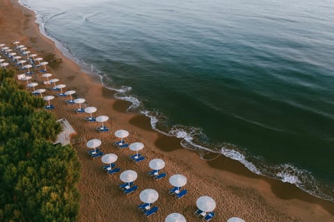 Bird's eye view, Beach, Sea view, Location, Sunrise, sunbed