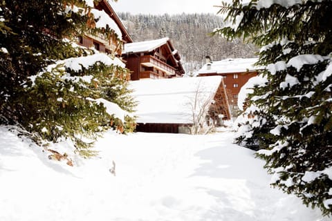 Property building, Day, Natural landscape, Winter, Mountain view