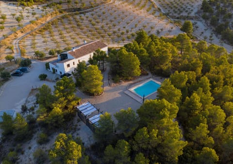 Bird's eye view, Pool view, Area and facilities