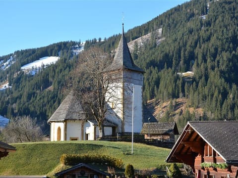 Apartment Lydia by Interhome Apartment in Saanen