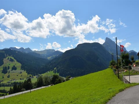 Apartment Rehweid - EG by Interhome Apartment in Saanen