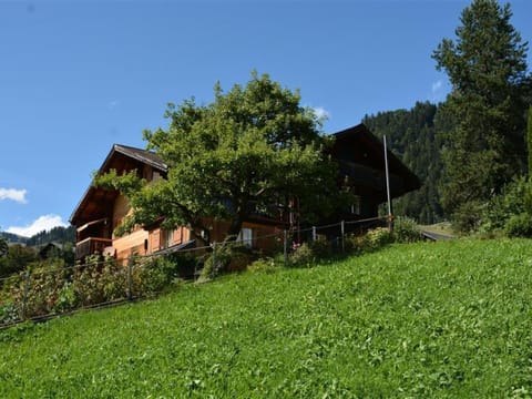 Apartment Meielblick by Interhome Apartment in Saanen