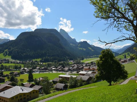 Apartment Meielblick by Interhome Apartment in Saanen