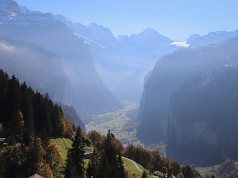 Apartment Bärnermutz by Interhome Apartment in Lauterbrunnen