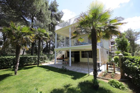 Apartments Paleka Condo in Zadar County