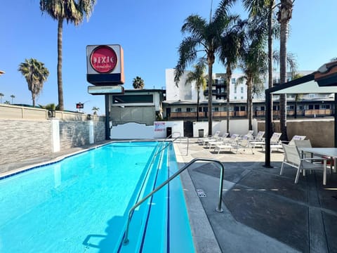 Day, Pool view, Swimming pool, sunbed