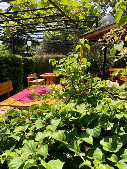 Restaurant/places to eat, Garden