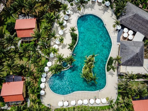 Bird's eye view, Swimming pool