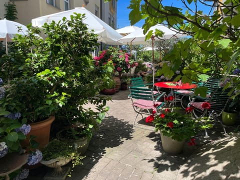 Garden, Garden view