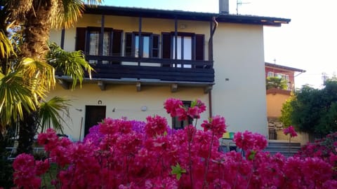 Property building, Facade/entrance, Spring, Summer, Garden, Garden, Seasons, Sunrise, Parking