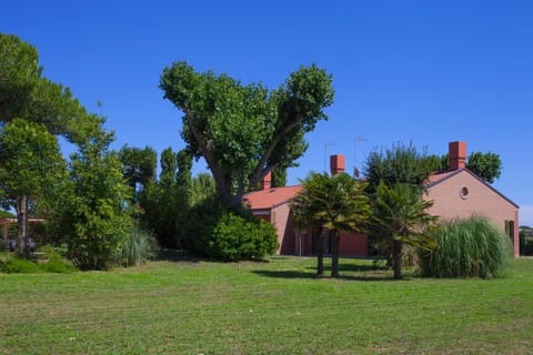 Toilet, Garden, Inner courtyard view