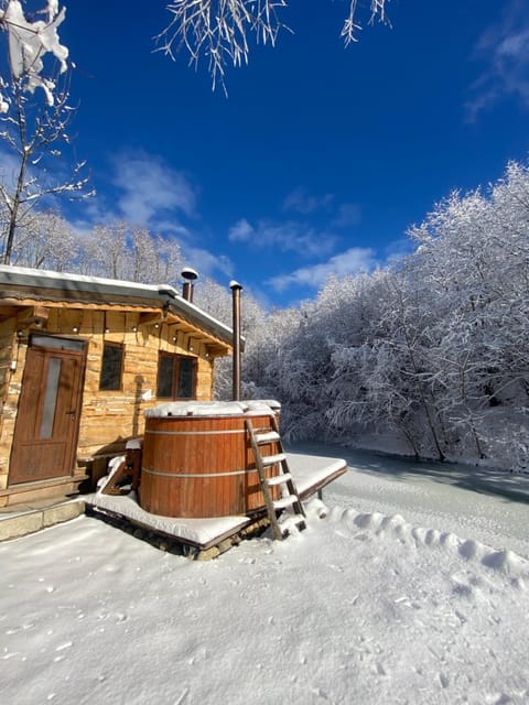 Cabana vânătorului House in Brașov County