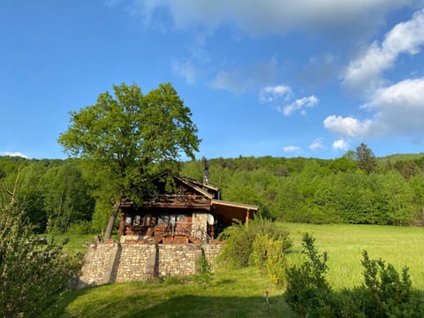 Cabana vânătorului House in Brașov County